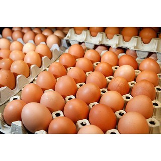 [GIAO LIÊN QUẬN] Hộp 10 trứng gà - Ship hỏa tốc