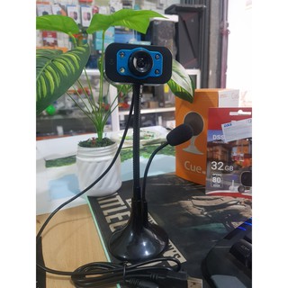 Webcam video call