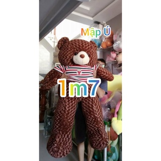 Gấu Teddy size 1m7 Mập ú, chân ngắn như hình (1)