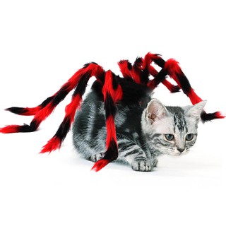 Đai nhện cho chó mèo Thời Trang Chó Mèo vui nhộn (1)