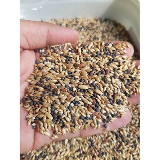 Hạt Trộn Cho Yến Hót (hàng nhập) chiết lẻ gói 500g/1kg