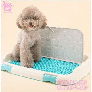 🐕 Khay vệ sinh cho chó Size lớn 67x46cm có tường và cọc cao cấp - CutePets Phụ kiện thú cưng pet shop Hà Nội