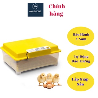 Máy Ấp Trứng gà mini- Máy ấp Trứng gà ánh dương -bản 54 trứng khay đảo nghiêng - Bảo Hành 1 Năm Chính Hãng