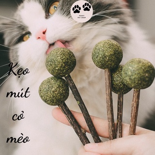 Kẹo mút cỏ bạc hà cho mèo catnip-shopthucung.peaky