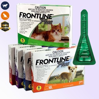 1 Tuyp Frontline Plus ve chó, chấy rận Frontline Plus, thuốc nhỏ gáy frontline cho mèo, thuốc nhỏ gáy frontline cho c