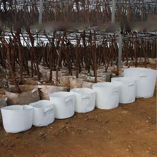 Phân phối túi vải trồng cây 2 quai xách kích thước 60x40cm hàng chính hãng, nhập khẩu và phân phối trực tiếp.