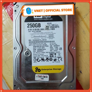 Ổ cứng HDD WD Western 250GB - Bảo Hành 24 Tháng
