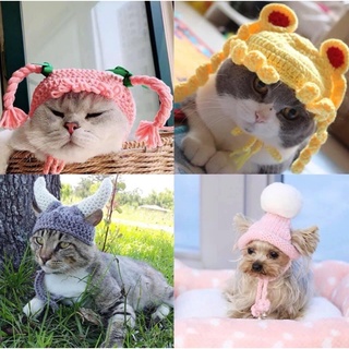 Mũ xinh dễ thương cho mèo