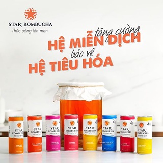 Thùng 12 lon trà STAR KOMBUCHA lên men vi sinh chứa probiotics giúp bảo vệ sức khoẻ (250ml/lon)