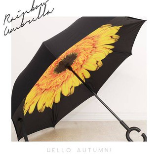 Reverse Umbrella (1)