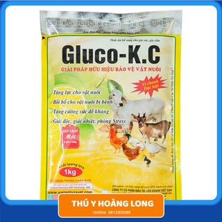 chống nóng tăng đề kháng giải nhiệt giải độc GLUCO KC