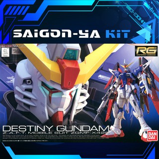 [RG] Mô hình Gundam Destiny