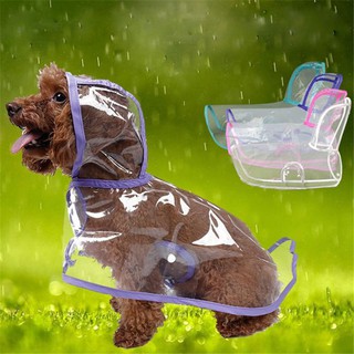Áo mưa cho thú cưng