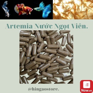 Viên Artemia Nước Ngọt (MUA 10 VIÊN TẶNG 1 VIÊN) - Thức ăn cá cảnh | Hingaostore.