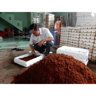 Bán Giá thể Xơ Dừa nguyên chất trồng rau sạch. hàng chuẩn, nhập khẩu và phân phối.