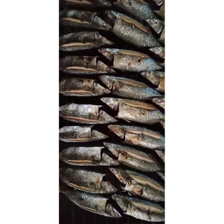 Cá bạc má nướng than hoa Nghệ An ( 0,5kg - chỉ giao Hà Nội)